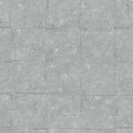 Robert - Silver Dolar