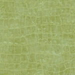 Curacao - Apple Green | Greens Abstracts Wallpaper for Accent Wall, Entryway, and Kitchen