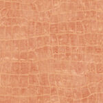 Curacao - Rust Orange | Oranges Abstracts Wallpaper for Kitchen, Half Bath, and Dining Room