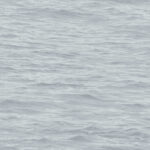 Navy Grey and White | Grays Nautical Wallpaper for Living Room, Entryway, and Half Bath