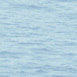 Navy Grey and White | Blues Nautical Wallpaper for Bedroom, Dining Room, and Entryway