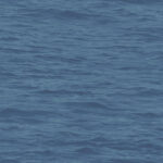 Navy Grey and White | Navys Nautical Wallpaper for Powder Room, Hallway, and Nursery